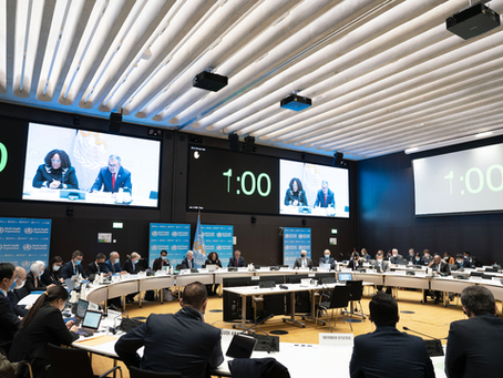 OMS lança declaração política "Zero Draft" e recebe comentários para a Assembleia Geral da ONU - Até 27/5