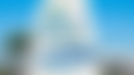 Cómo Recoger su Alquiler en el Aeropuerto St. Petersburg-Clearwater (PIE)