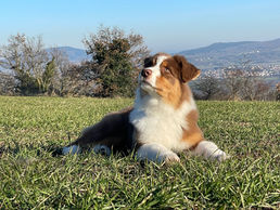 IMG_7358-2.JPG
