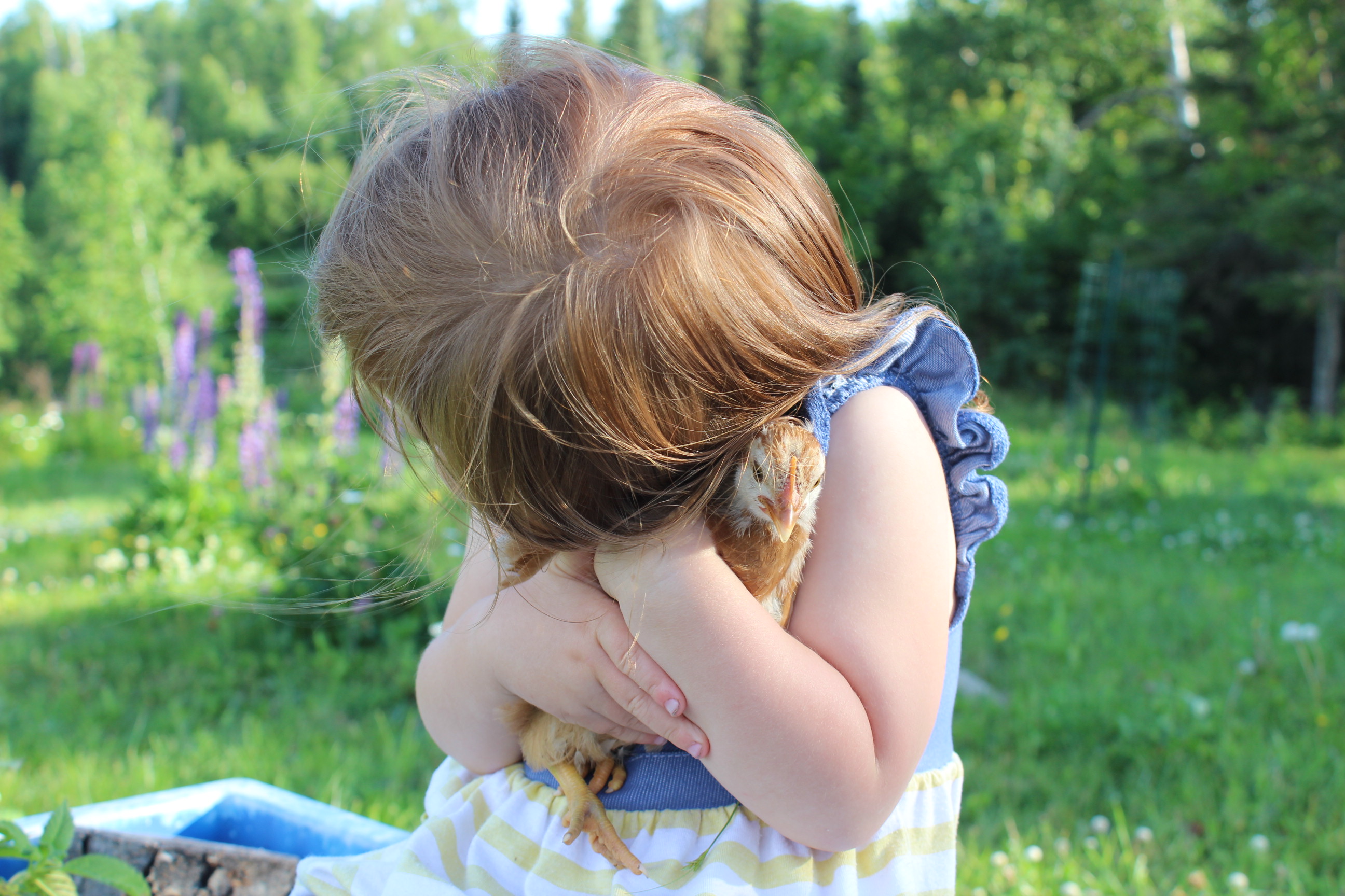 Hugs