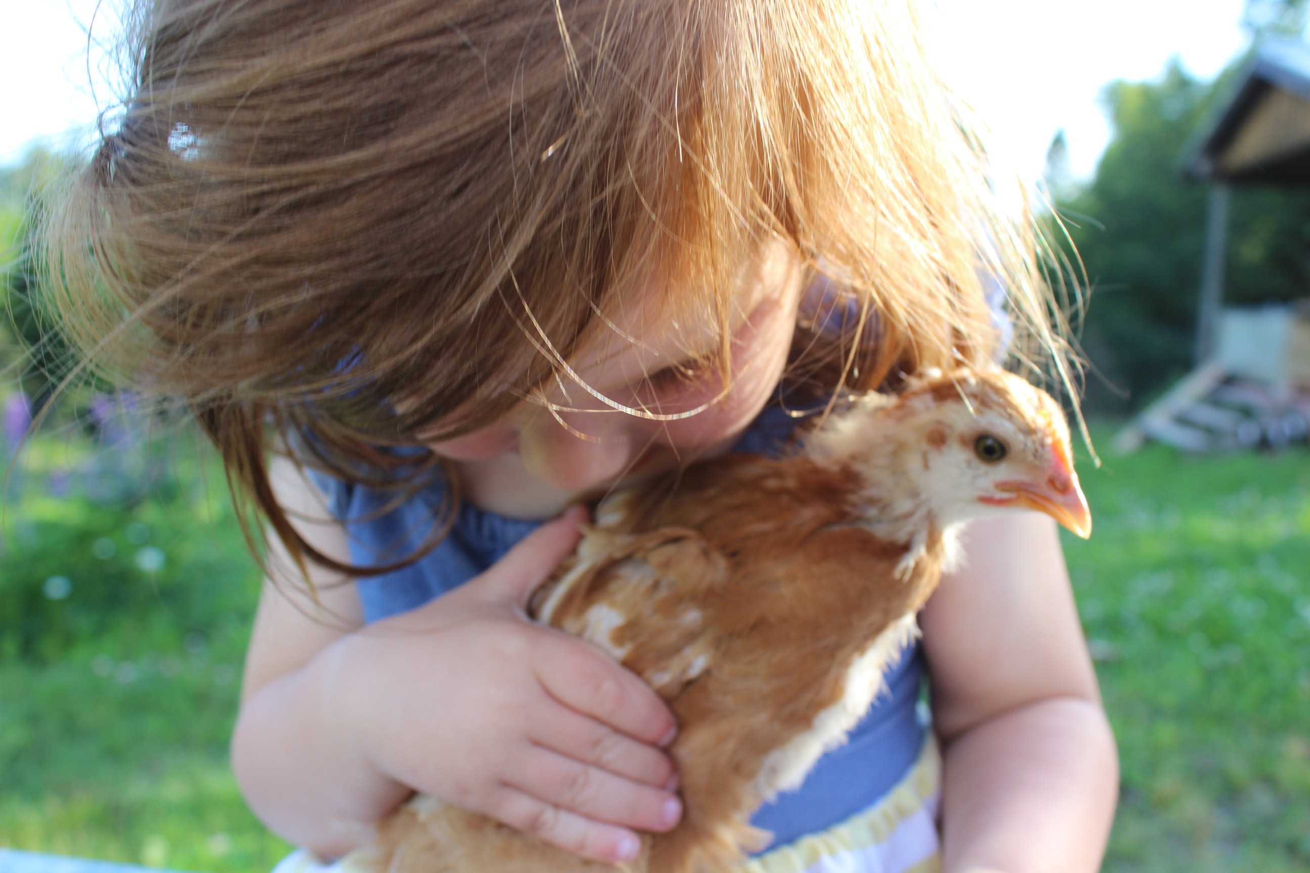 Chicks