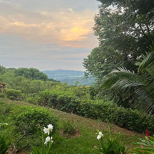 costa rica view.jpg