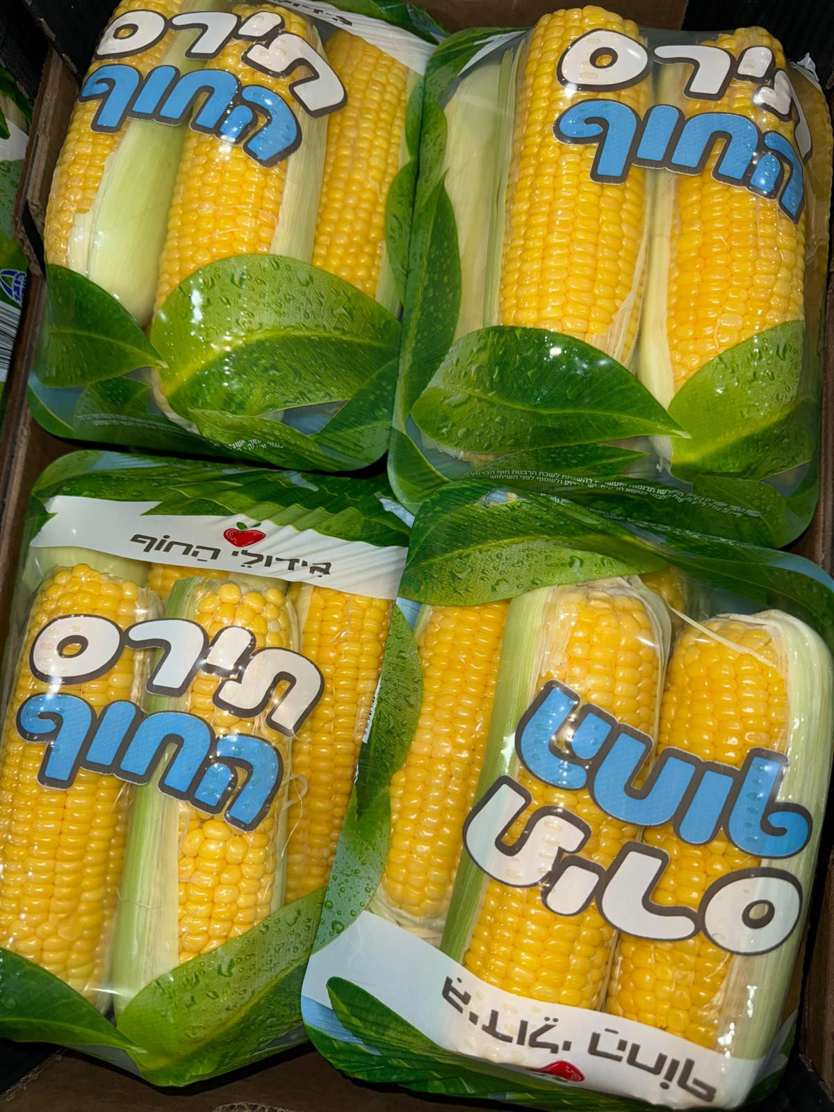 מארז תירס צהוב