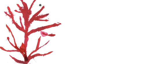 ECEF7725-00BA-4D92-B30B-928B7E19CFC3.png