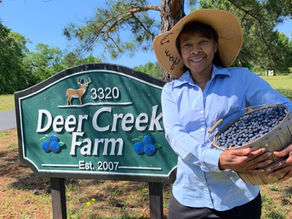 Two Local Farms Are Hiring — Help Us Grow Chattahoochee Hills' Agricultural Workforce