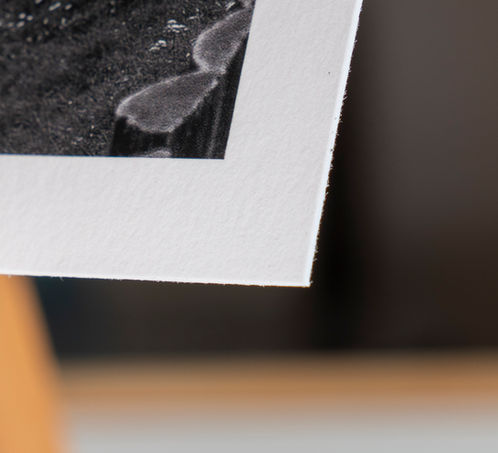 Foto gedruckt auf Fin Art Print Hahnemühlepapier