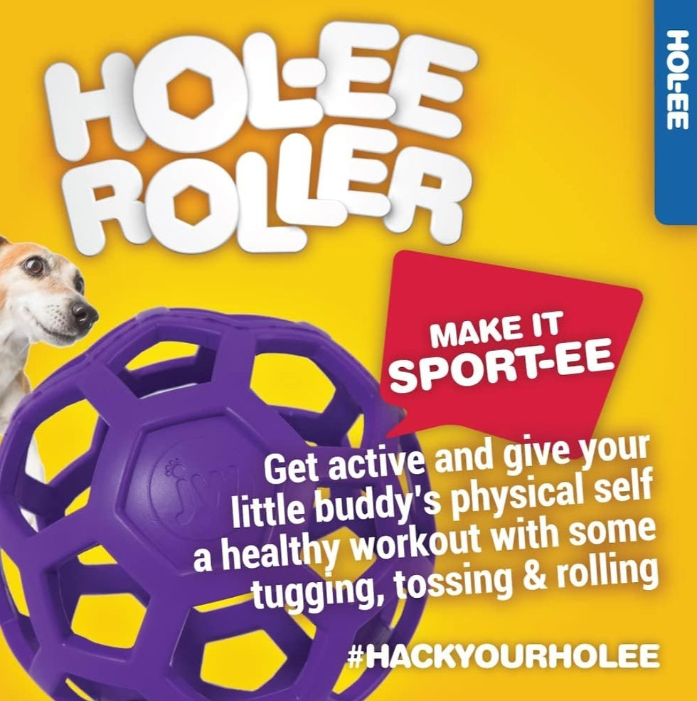 Thumbnail: JW HOL-ee Roller Medium size Treat Dispensing Dog Ball Hard Natural Rubber 