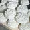 Miniatura: Molde de Silicona de Flor de Peonía 3D
