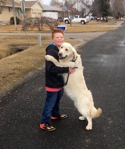 53452745_2319290148290651_48083049440188