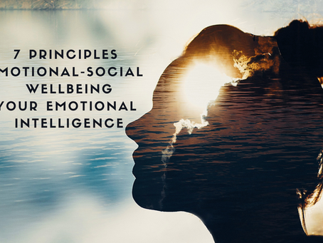 7 Principles Emotional-Social Well Being Your Emotional Intelligence