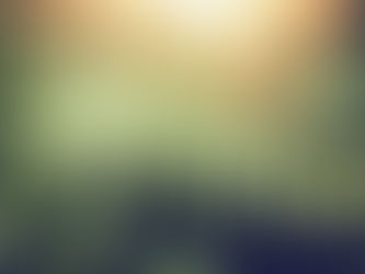 MSBT Submission for 'A Strategy to Prevent Suicide In New Zealand 2017'