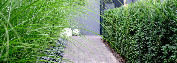 Delrue Steve_avelgem_-6.jpg