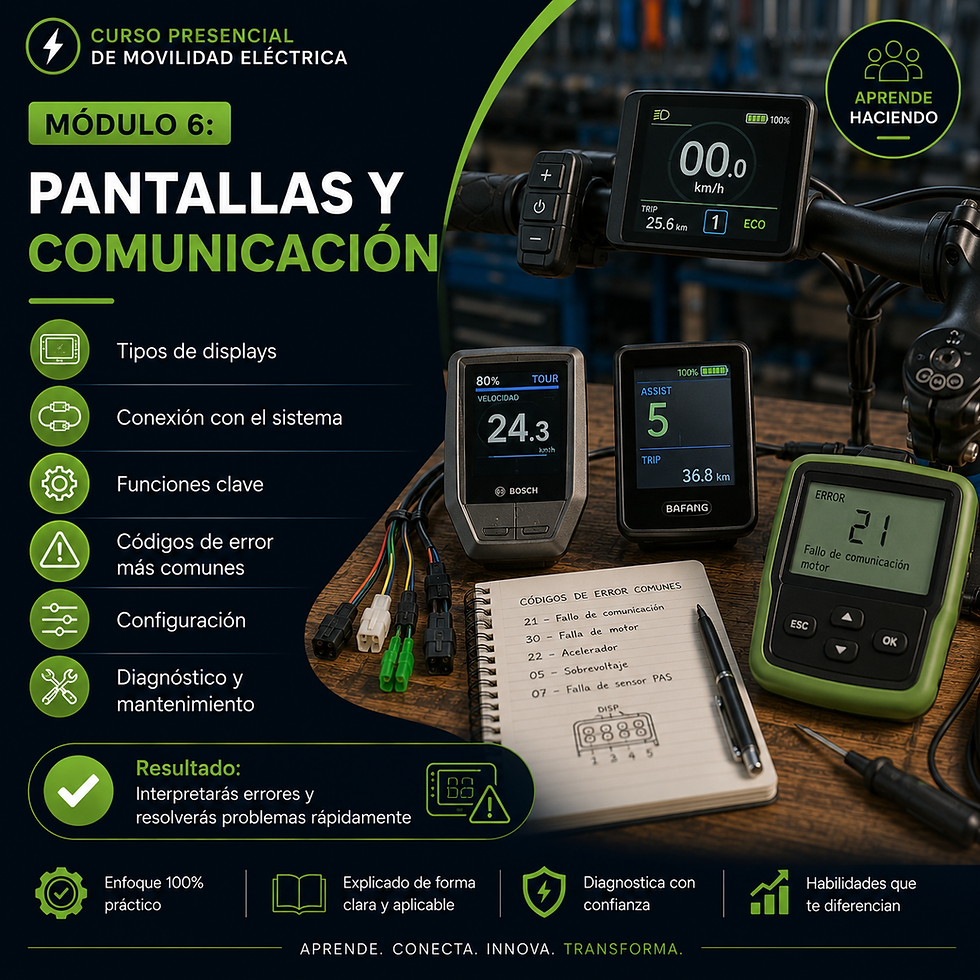 Miniatura: CURSO PROFESIONAL BANZAI