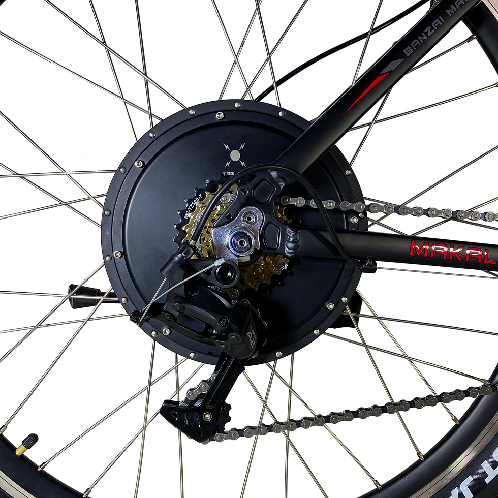 Miniatura: Bicicleta eléctrica BANZAI 2000W 21 Ah CDO