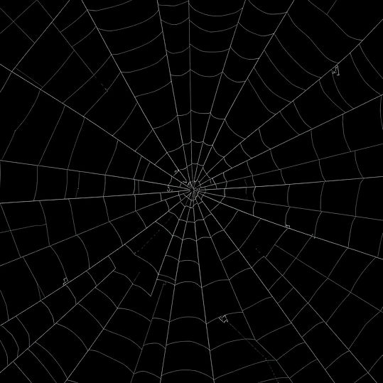 Simple black with spider web pattern, thin strands.jpg