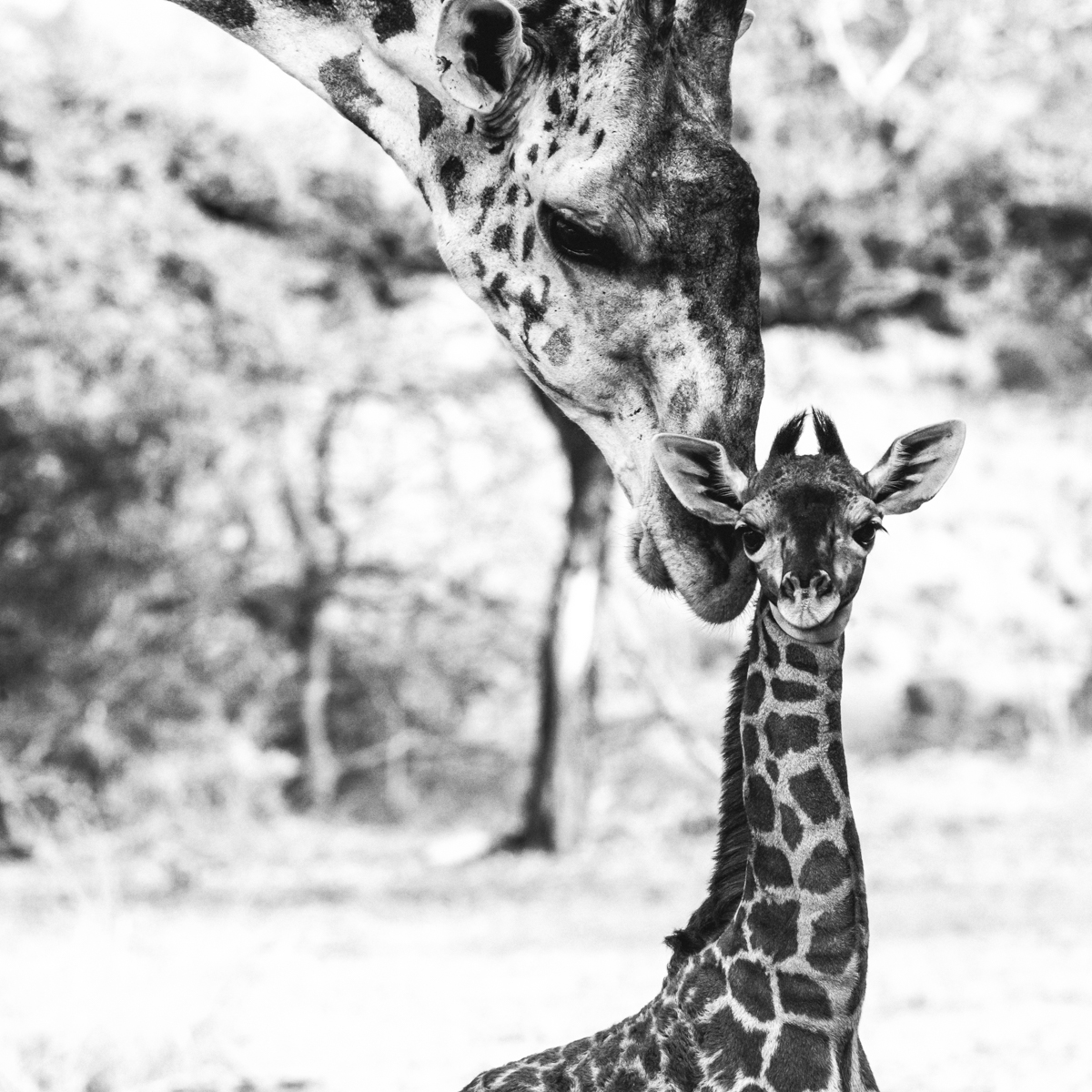 Jean-Marie Dufour - Photographe