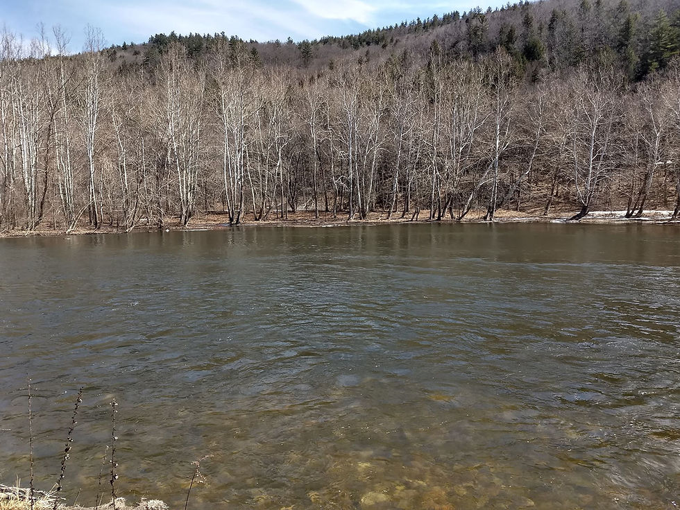 Down by the River