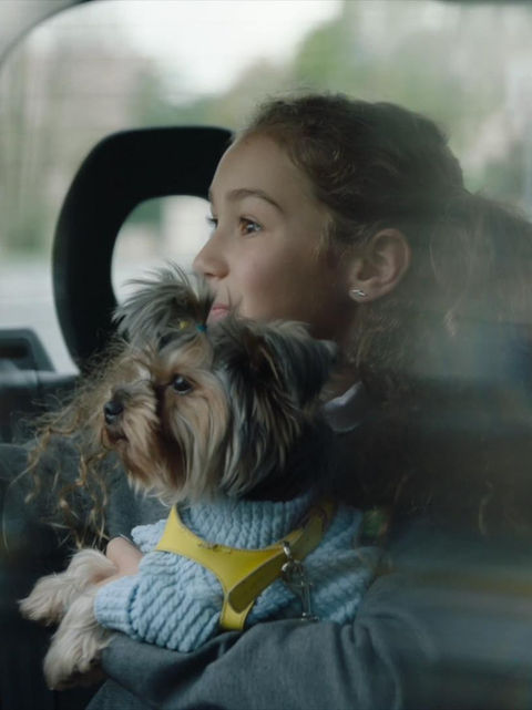 Mobility & Sustainable Transport, Market Expansion, Branding Strategy, Data-Driven Storytelling, Creative Production