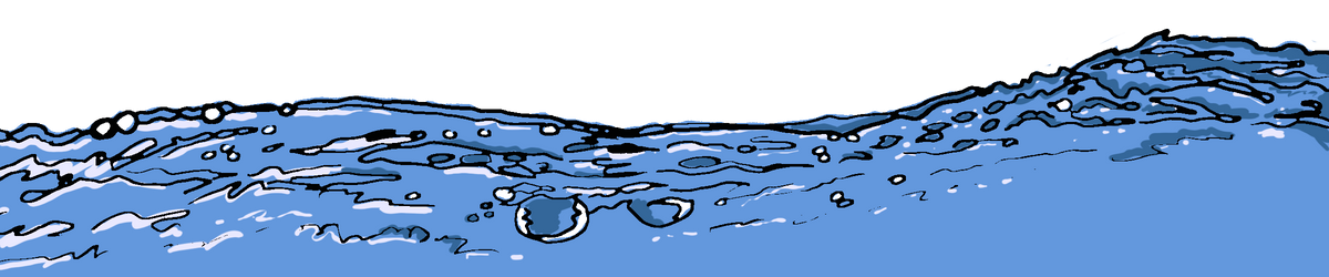Aquatic Dog