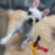 image0 - 2025-08-31T164515.744