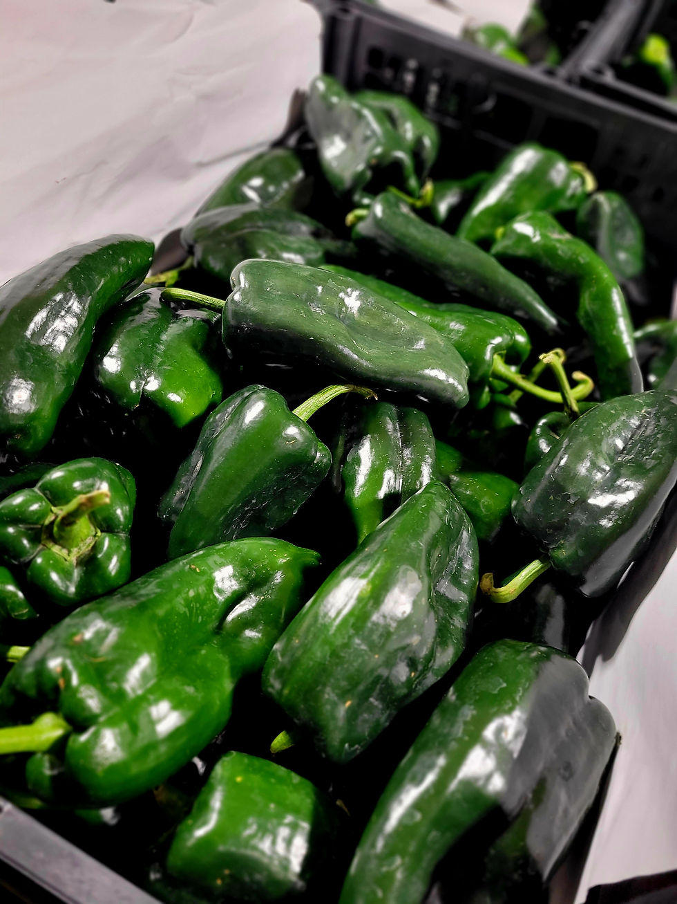 Our Products rioproduceedinburg