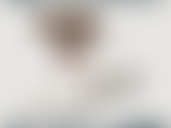 We're now dog friendly!