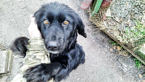 Почекай, не йди...