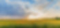 sunflower-1502357_1920 (2)_edited.jpg