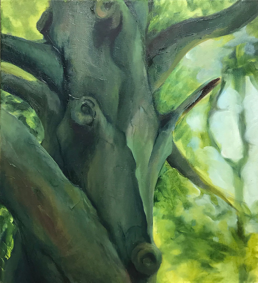 Tree spirit No 5