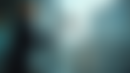 Professional Commercial Window Cleaning for Your Business