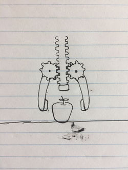 WhatsApp Image 2017-10-10 at 12.17.39