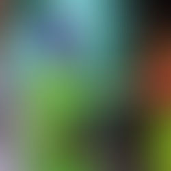 PinkisheFoundation Covid19 LockdownSeries (Episode 20)