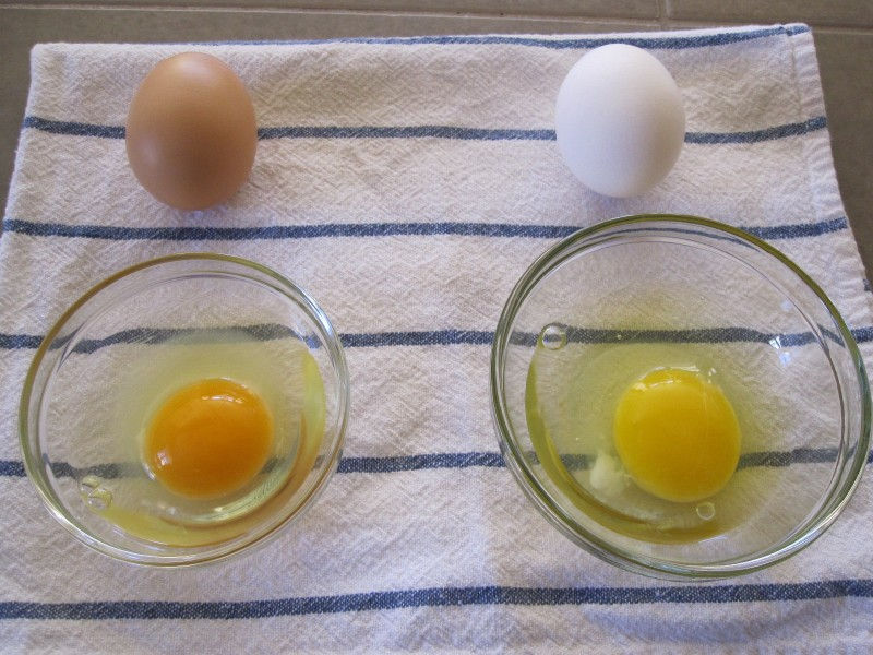 Farm Fresh Yolk VS Store Bought Yolk