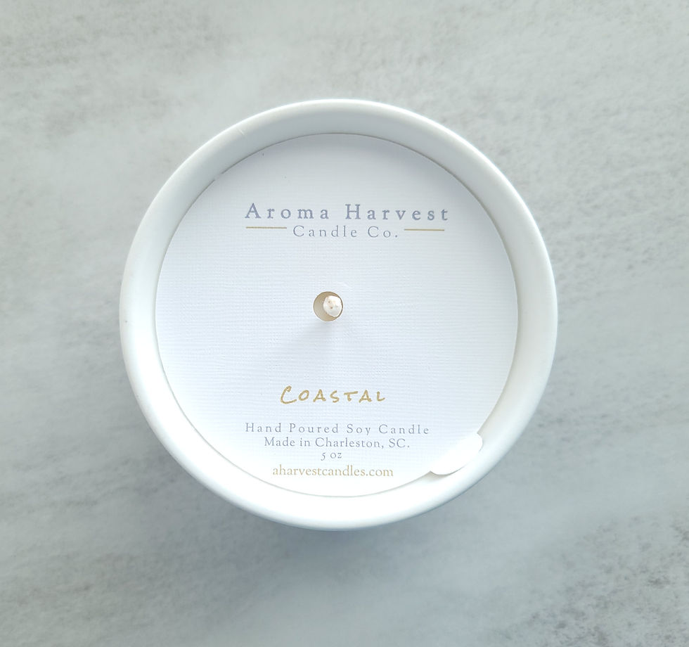 Thumbnail: Candle & Air Plant w/Footed Pot (White)