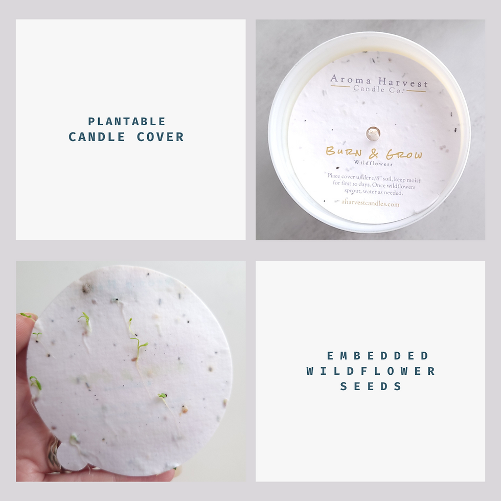 Thumbnail: Cardamom & Cream