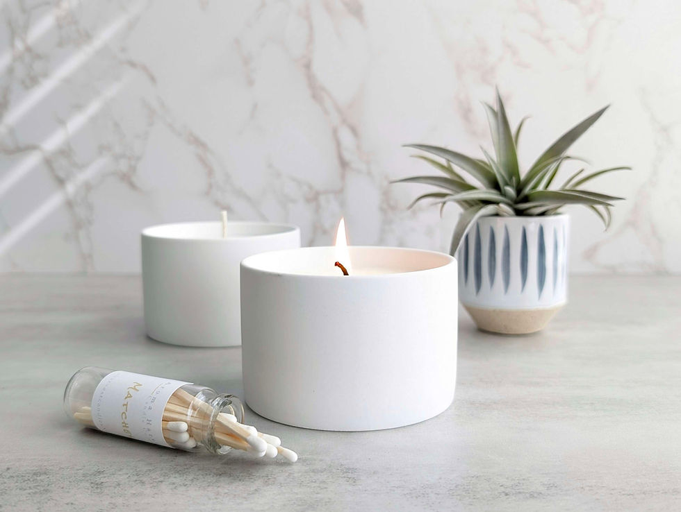 Thumbnail: Ceramic Candle & Air Plant Gift Box (C)