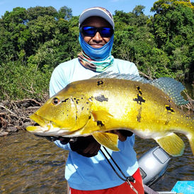 Tucunaré-Porteiro do Rio Trombetas Um Desafio para os Pescadores Mais Experientes