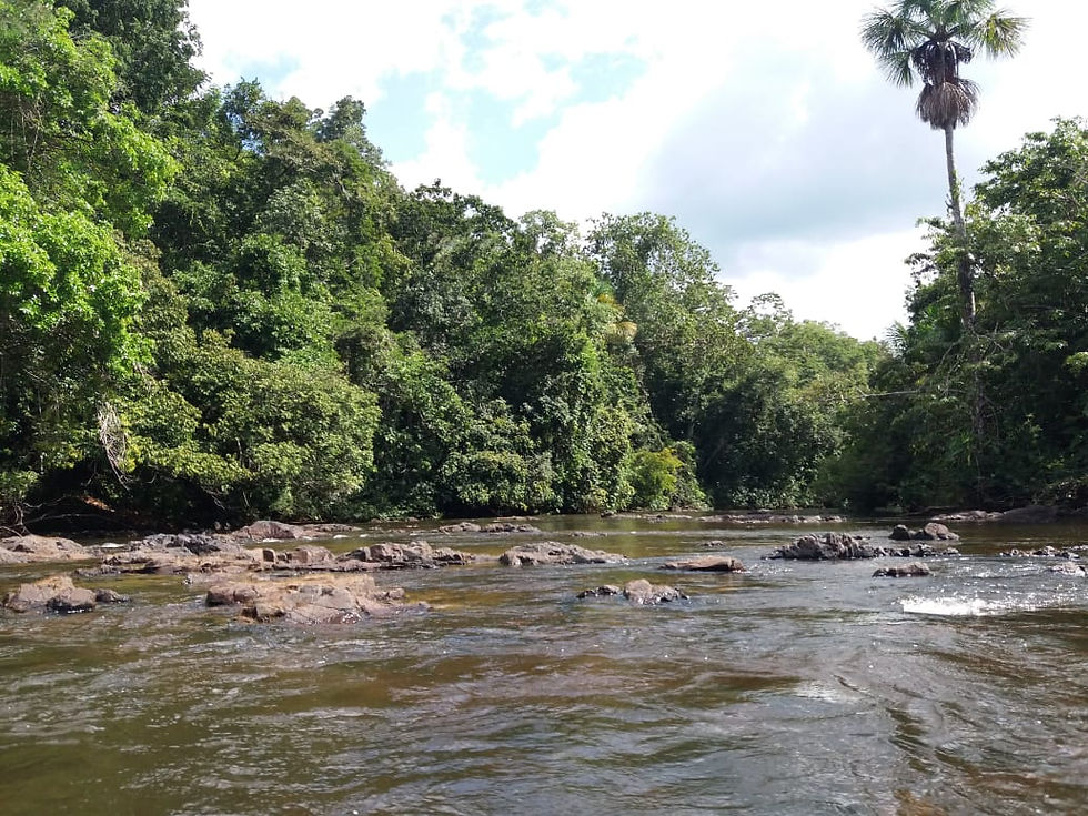 Rio Trombetas