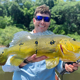 Tucunaré Thyrorus no Rio Trombetas