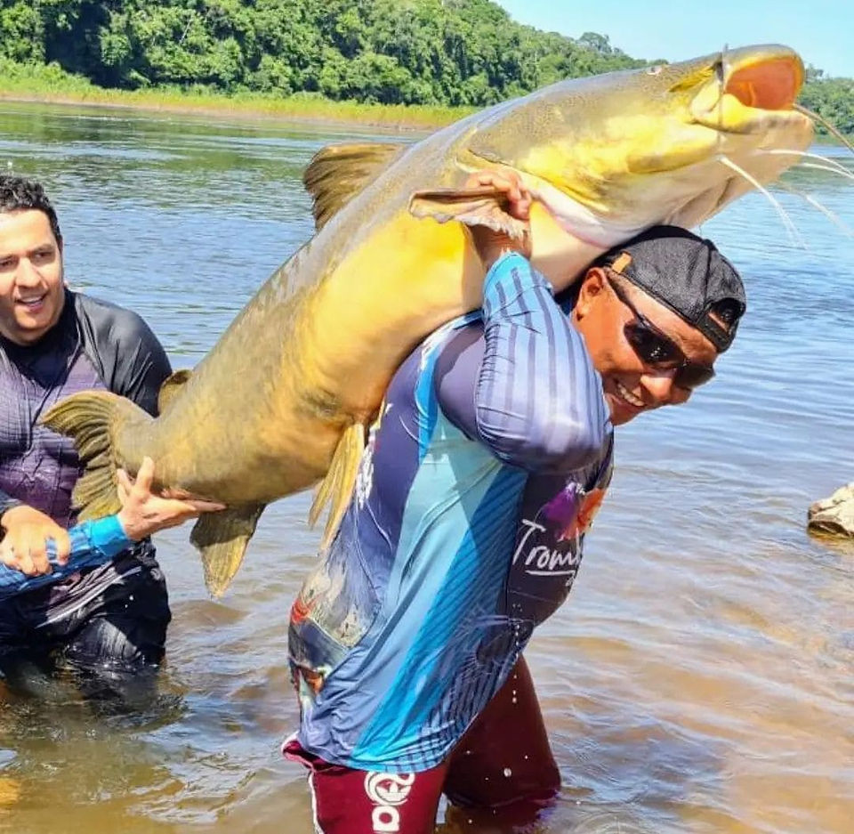 Jauzão do rio Trombetas