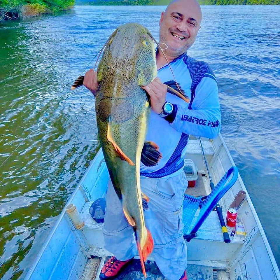 Pirarara do Rio Trombetas