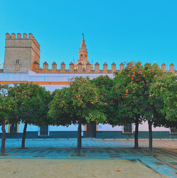 Patio de Banderas, Andalucía, Seville, Spain