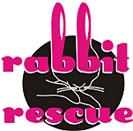 Rabbit Rescue
