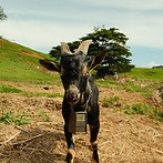 DSCF8400.JPG