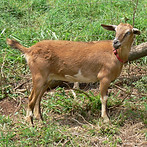 P1150513_edited.jpg