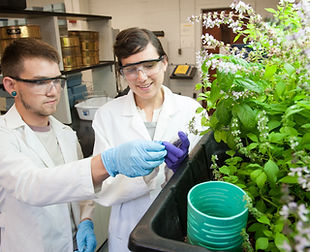 UA_Majors_Biomedical Engineering.jpeg