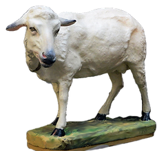 Nativity-sheep-repaired_edited.png