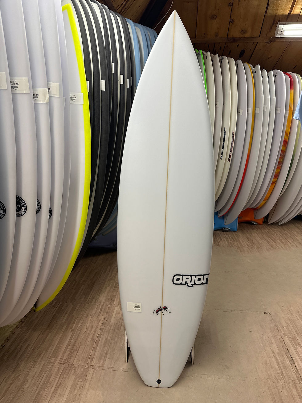 Thumbnail: 6’2 Orion Fire ant