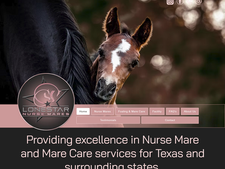 Lonestar Nurse Mares
Website by Stoney's Web Design