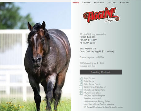 Taggline, leading NRCHA sire. Teague Ranch. Website by Stoney's Web Design